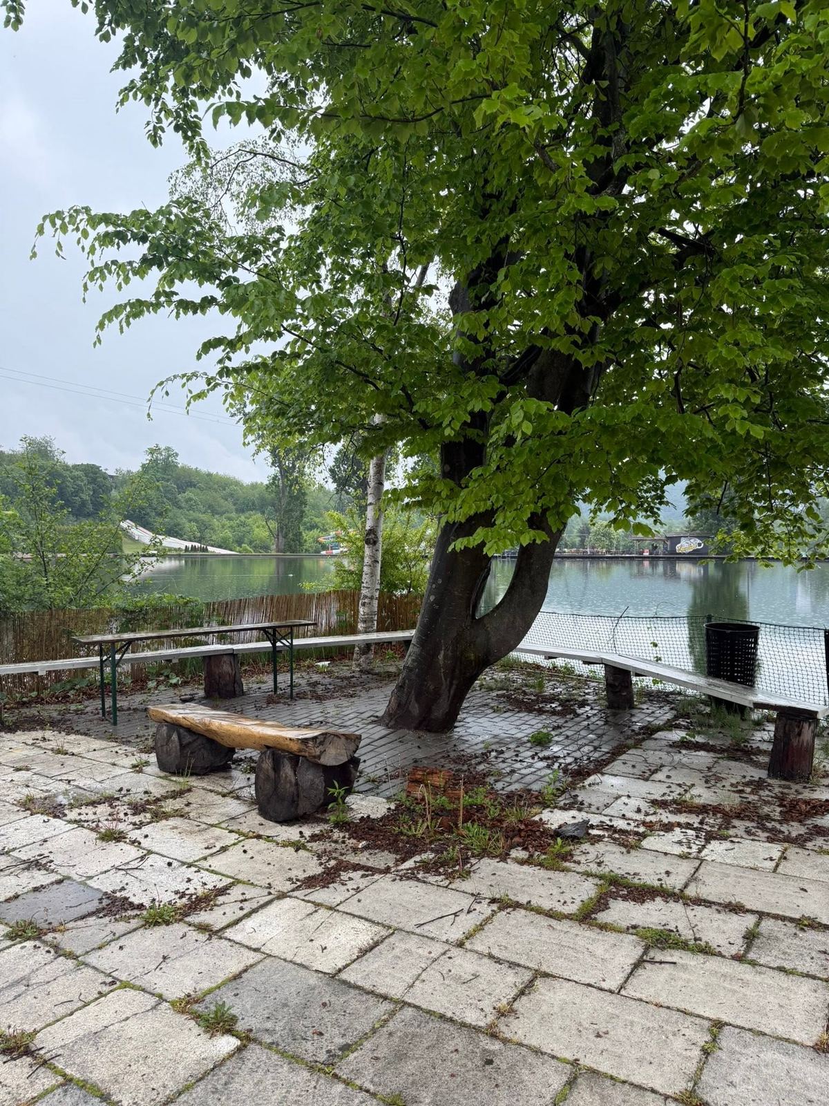 Drevené lavice pod stromom na rozpadajúcej sa dlažbe pri jazere